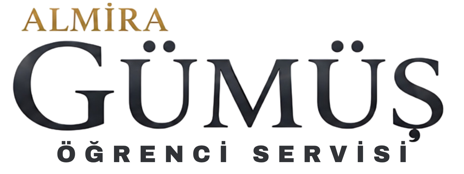 Servis Logo
